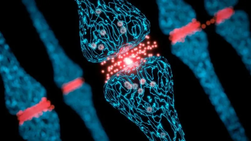 Костномозъчна трансплантация при таласемия